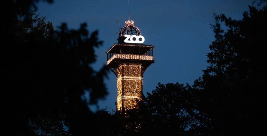 København Zoo melder ud: Det er det værste, der kan ske