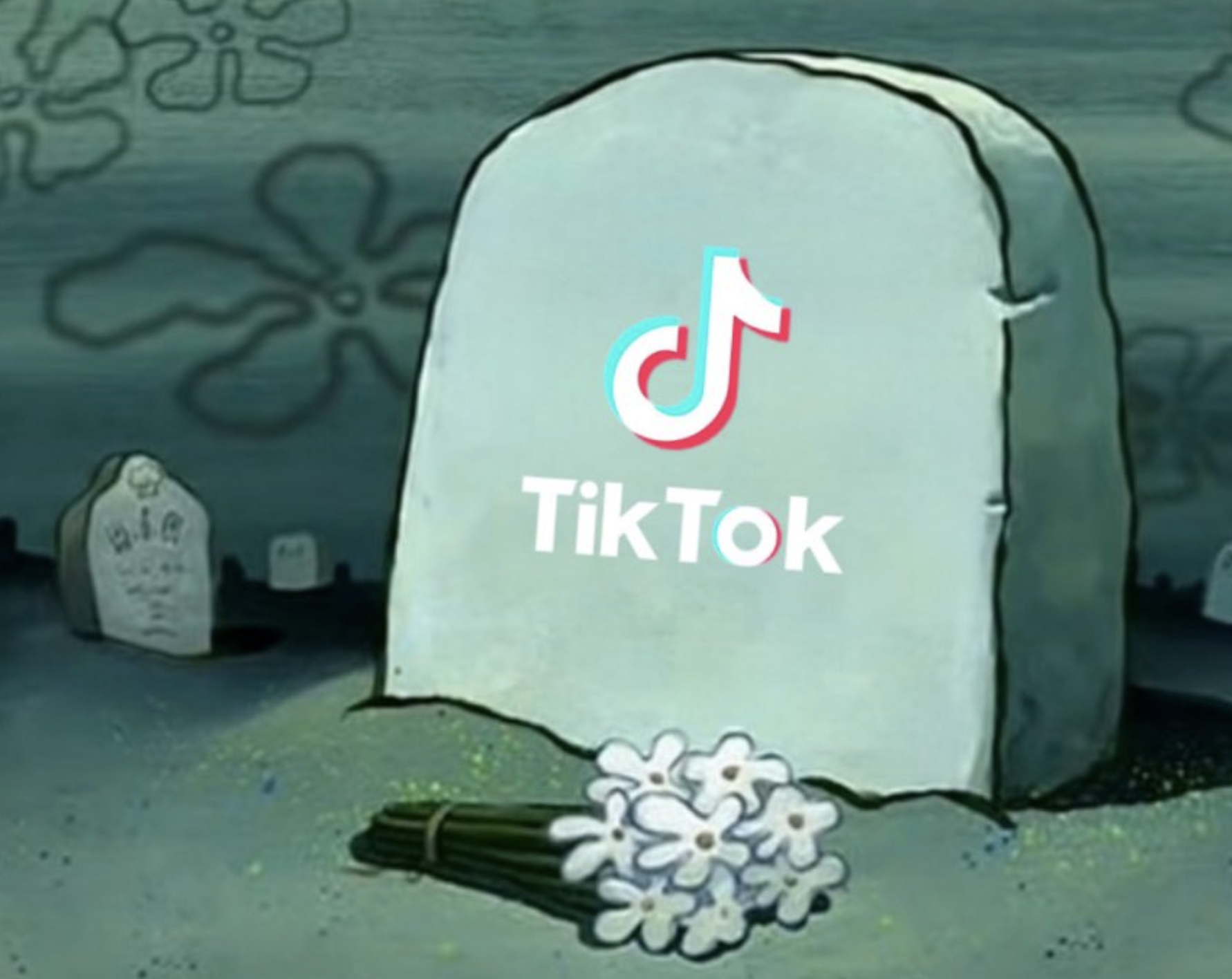 TikTok har lukket adgangen for 170 millioner af brugere