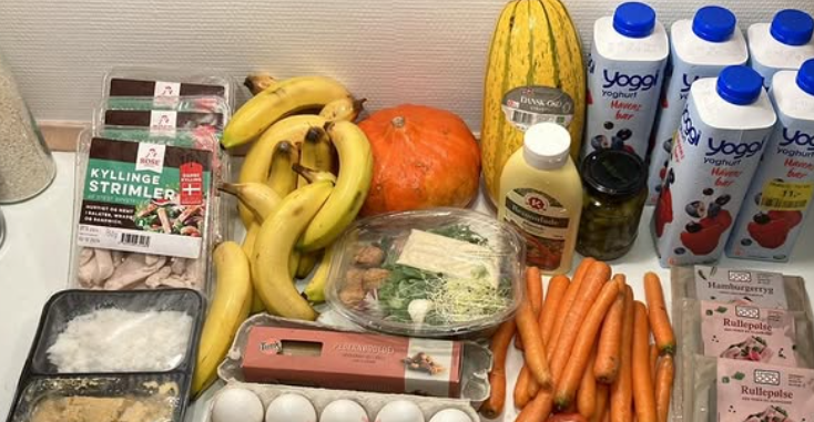 Sofie har ikke købt dagligvarer i 4 år: Nu er hendes trick gået viralt i udlandet