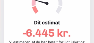 Skal du have penge tilbage i Skat? I denne kommune skal over halvdelen af borgerne punge ud