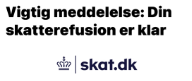 Årsopgørelsen nærmer sig: Nu udsendes advarsel om ‘Skat.dk’
