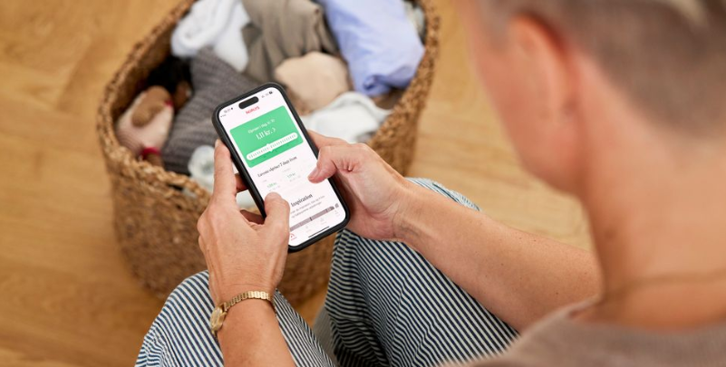 Norlys med klar besked til alle, der har variabel elpris