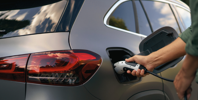 Hverken Tesla, Volkswagen eller Skoda: Danskerne har fået ny yndlingselbil