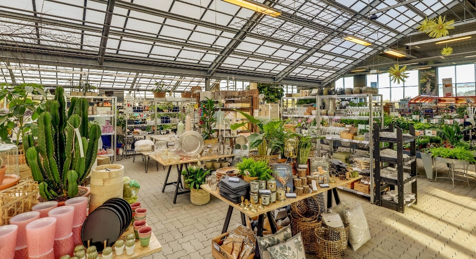 Gratis i Billigblomst: Butik holder kæmpe udsalg med 50% og deler gratis ud