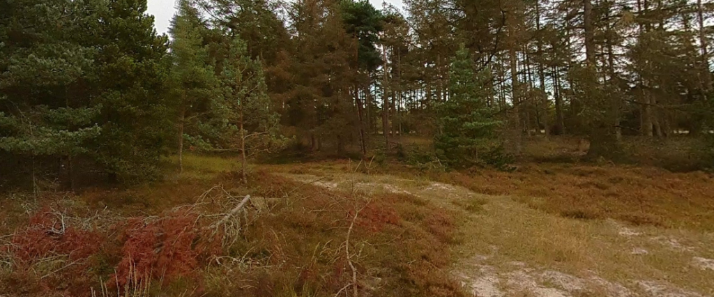 Før var danskerne vilde med den: Nu stemmer flere for at den skal skydes