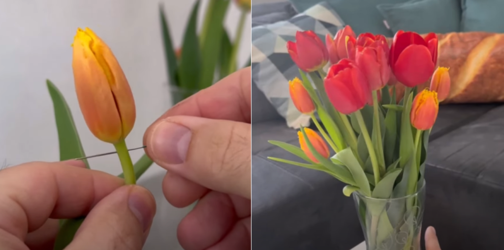 “Næsten alle laver disse tulipanfejl – 99% ved det ikke”