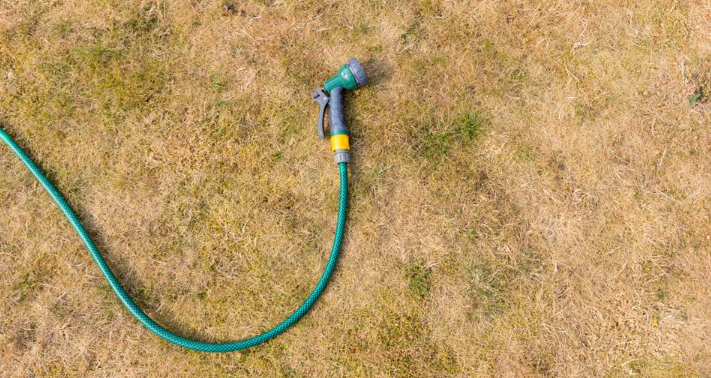 Uundværligt tip til haveejere: Du skal altid have en halv liter danskvand på lager