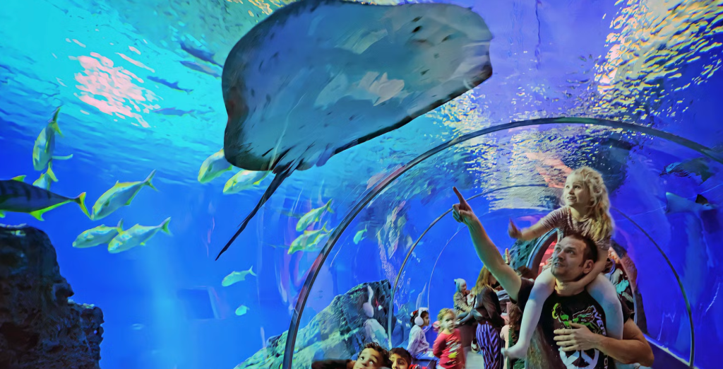 Den Blå Planet tvunget til at lukke dørene i: “Vi er meget kede af…”