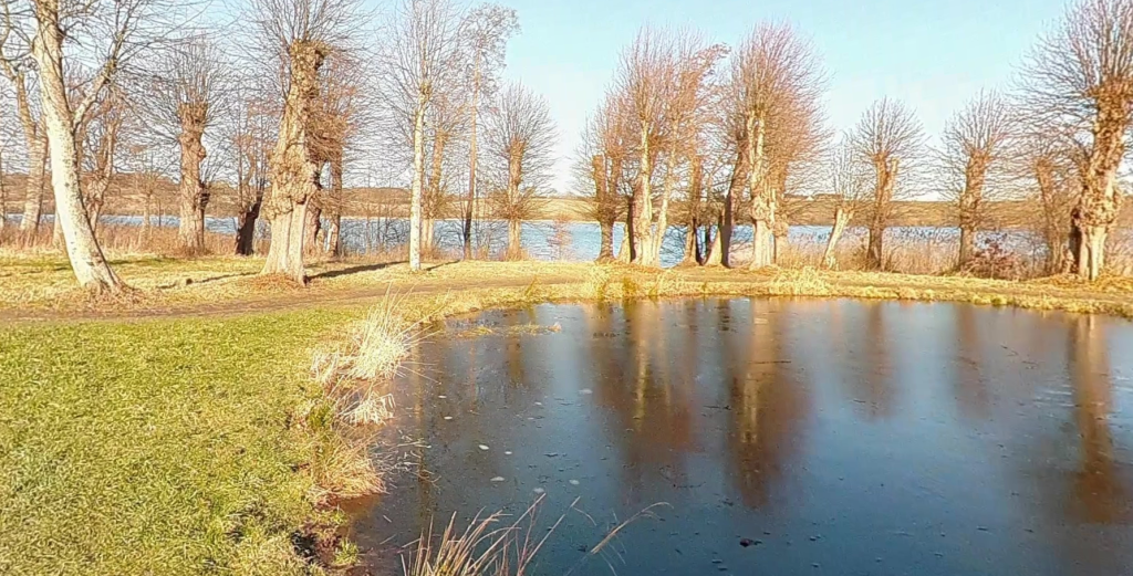 Den første af sin slags åbner i Danmark: “Det er kæmpestort”