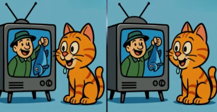 Katten, der ser tv, giver internettet hovedpine: Du har 31 sekunder til at finde 3 fejl