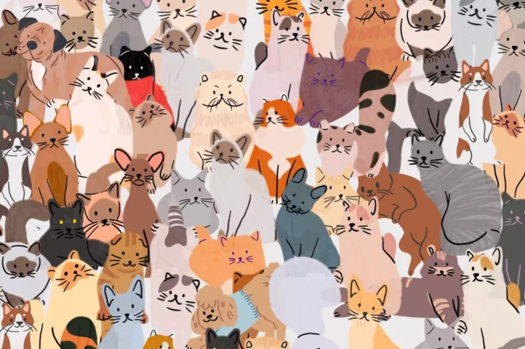 Der er gemt 5 hunde blandt kattene på billedet: Kun de med 10/10 syn finder dem på 20 sekunder