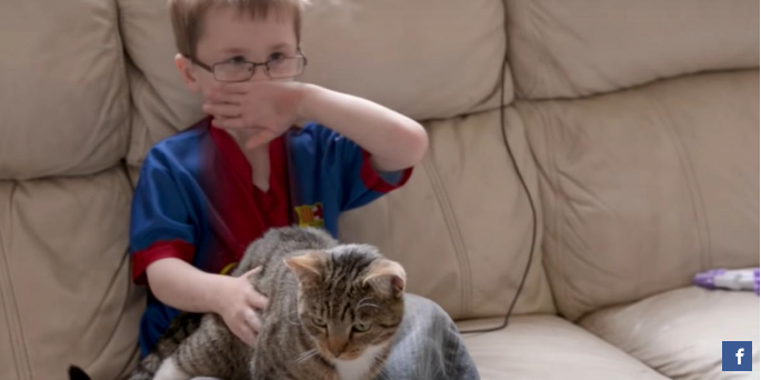 Lille dreng bliver skubbet- se så hvad katten gør