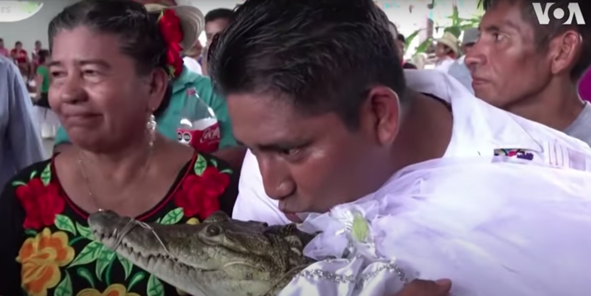 Borgmester gifter sig med krokodille: ‘Vi elsker hinanden’