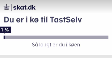 IT-ekspert advarer: Stor risiko for svindel i forbindelse med din årsopgørelse