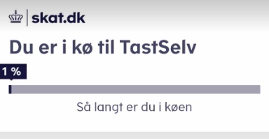 Derfor skal du ikke juble, hvis du får penge tilbage i Skat