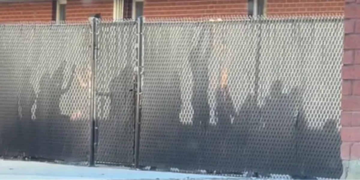 Far ankommer for at hente søn: Bliver mødt af scene taget direkte ud af ‘The Walking Dead’