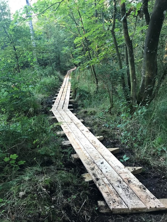 Godt 200.000 puljekroner til 10 natur- og stiprojekter