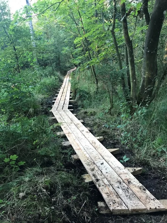 Godt 200.000 puljekroner til 10 natur- og stiprojekter