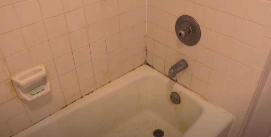 Kan ske på få minutter: Sådan kommer du dit problem med skimmelsvamp til livs