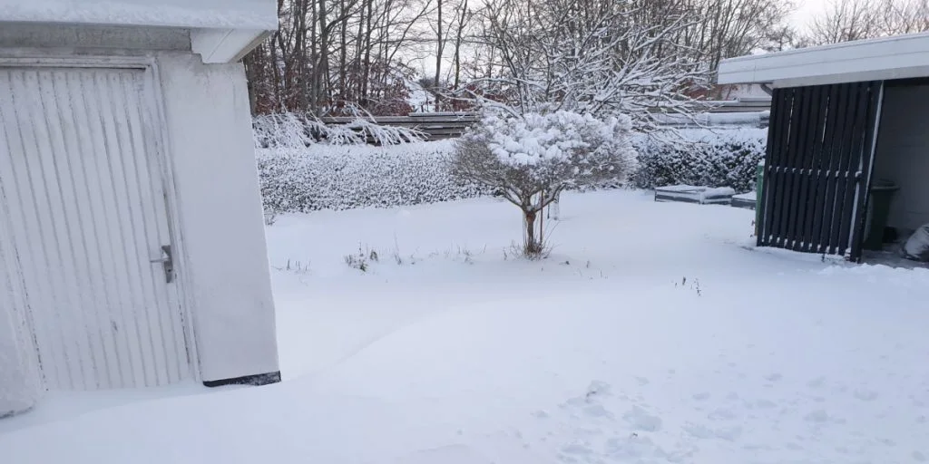 I går meldte DMI om sne – men nu overrasker de igen