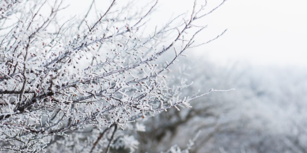 Ny melding fra DMI: Flere dage med sne