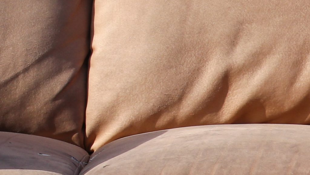 Stak hånden ind i sofa for at finde fjernbetjening: Gjorde vammel opdagelse