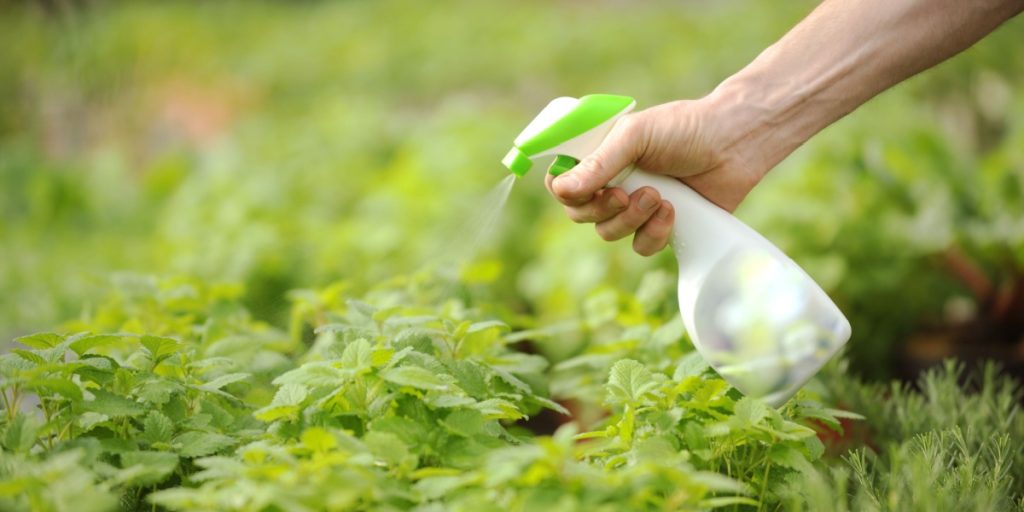 Landbrug er ikke hovedkilden bag farligt pesticide-stof: Kommer fra produkt, mange bruger hver dag