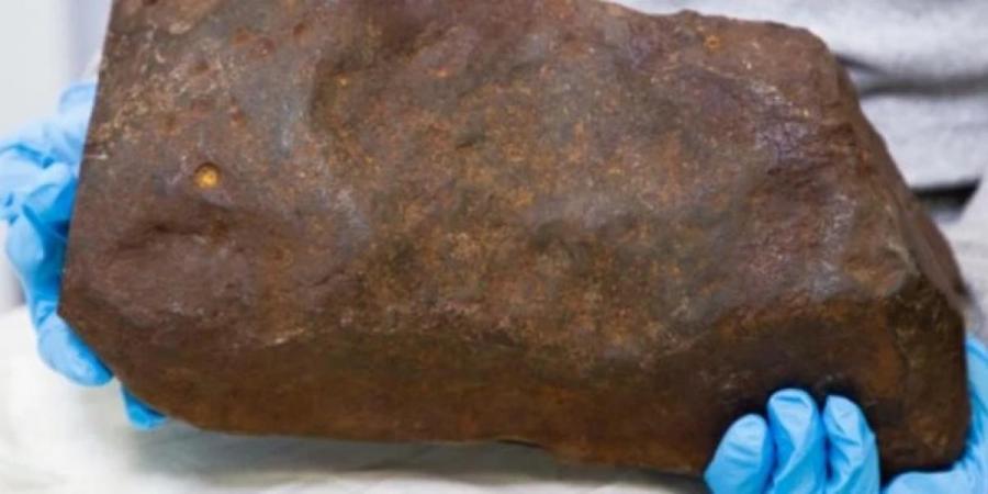 David beholder kæmpe sten, da han tror det er guld: Viser sig at være langt mere værd