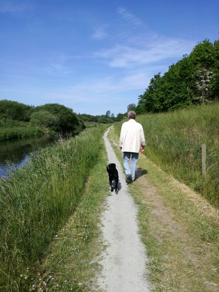 Bevar livsglæden: Sådan skaber du en god alderdom for din hund