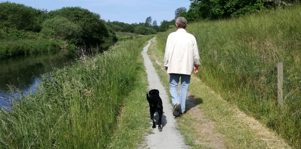 Dyreekspert med bøn til hundeejere: Pas på din hund – foråret kan være livsfarlig