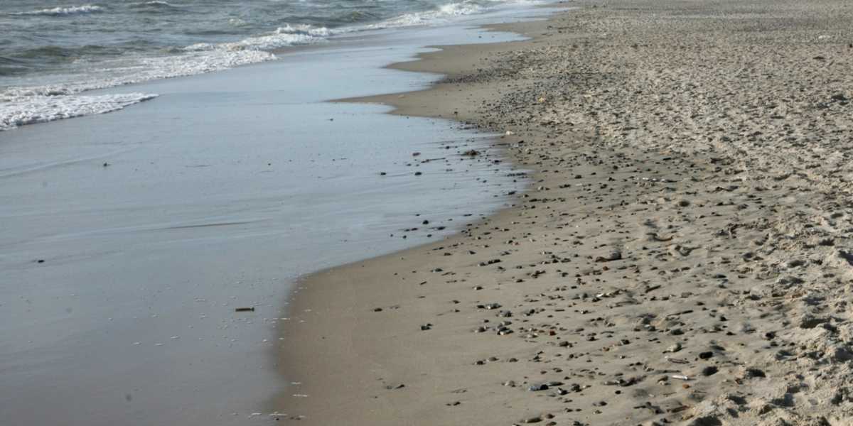 Kæmpe fund på dansk strand: Børnehavebørn gør yderst usædvanligt fund