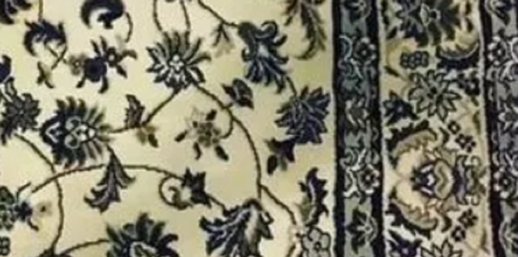 Kvinde tabte sin iPhone på gulvtæppet: Nu er internettet efterladt splittet og forvirret