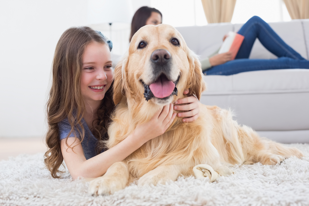 Her er 14 ting du nok ikke vidste om hunden