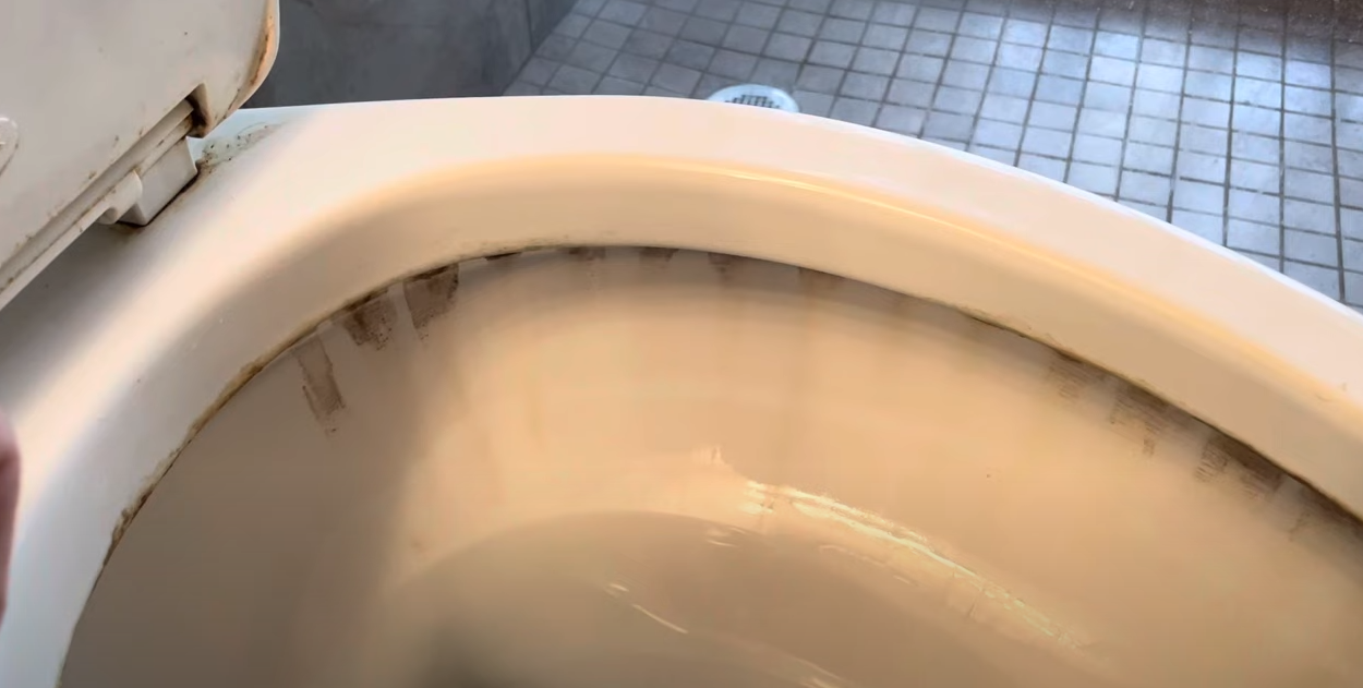 Professionel rengøringsassistent: Gør dette ved dit toilet og slip for det trælse arbejde