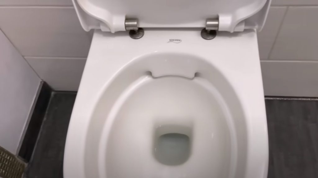 Meget få kender toilettets ‘skjulte’ knap: Dette sker, når du trykker på den