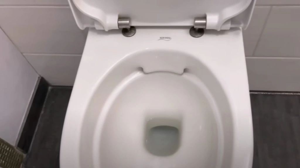 Meget få kender toilettets ‘skjulte’ knap: Dette sker, når du trykker på den