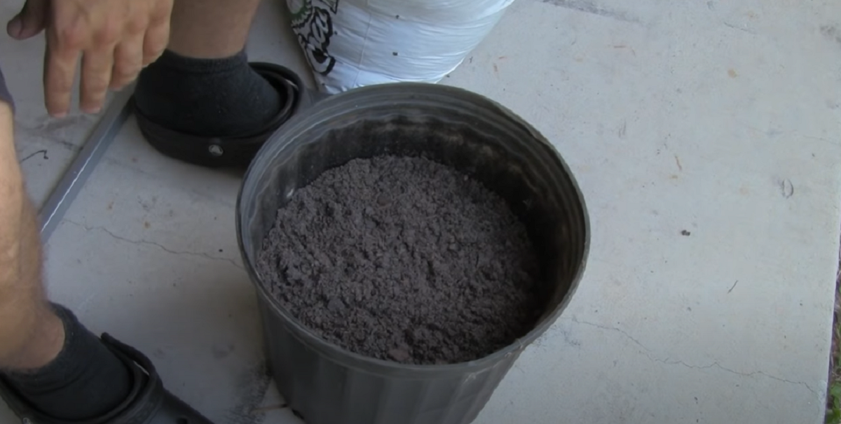 Han satte dette i jorden: 2 uger senere kan han ikke tro sine egne øjne