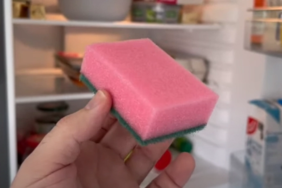 Trick med køkkensvampe tager internettet med storm: De er guld værd i haven