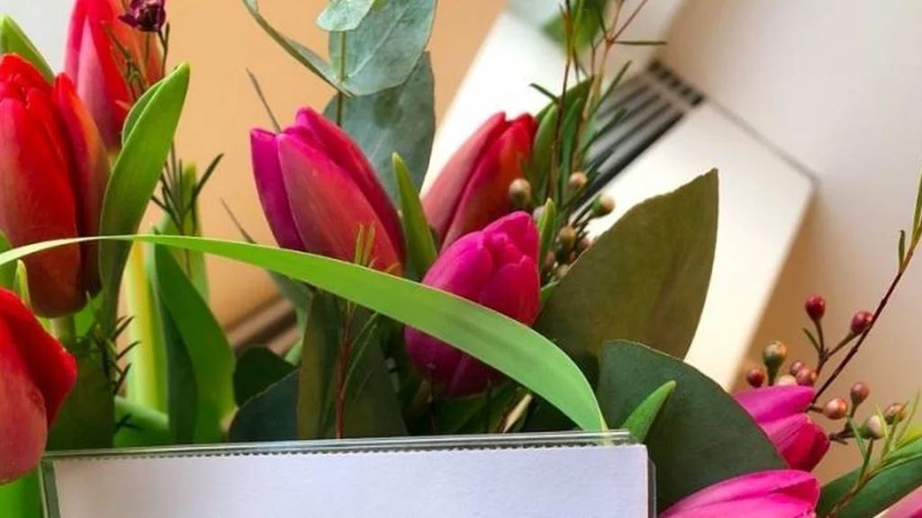 Sådan genopliver du faldne tulipaner: Kun én spiseskefuld af dette vil få magien til at ske