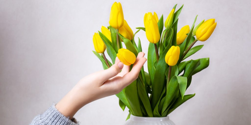 Fantastisk trick: Sådan holder du dine tulipaner friske
