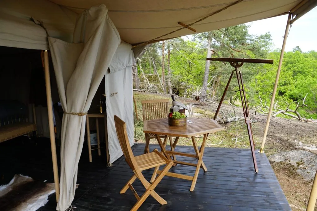 Vild glamping: Luksuscamping med vilde dyr