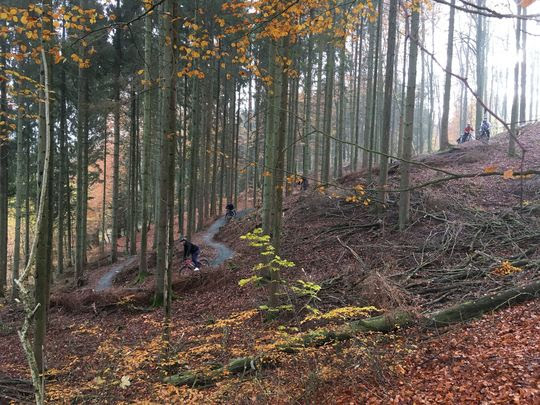 Moutainbike: nyt spor gennem Sønderskoven skal tiltrække turister og lokale