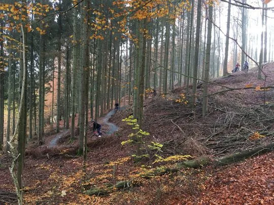 Moutainbike: nyt spor gennem Sønderskoven skal tiltrække turister og lokale