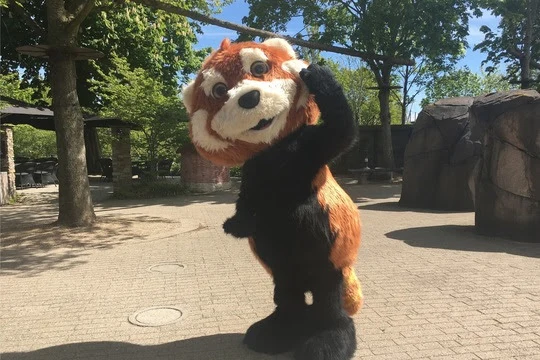 Snart huserer et nyt og kæmpestort dyr i Odense ZOO