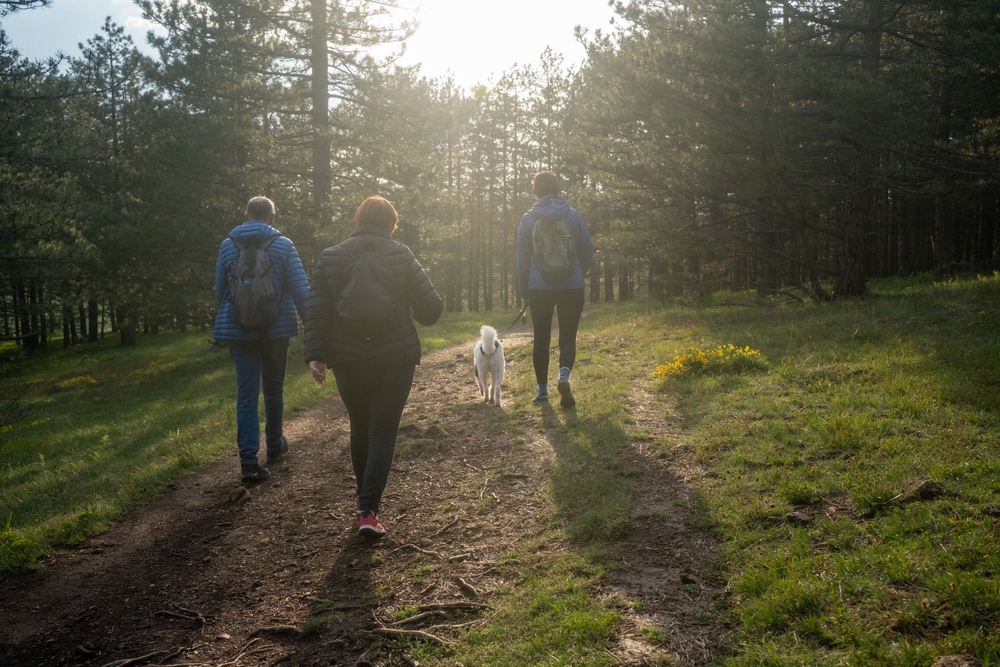 Squats eller gåture? Hvad er bedst for dit blodsukker? Her er, hvad forskningen siger