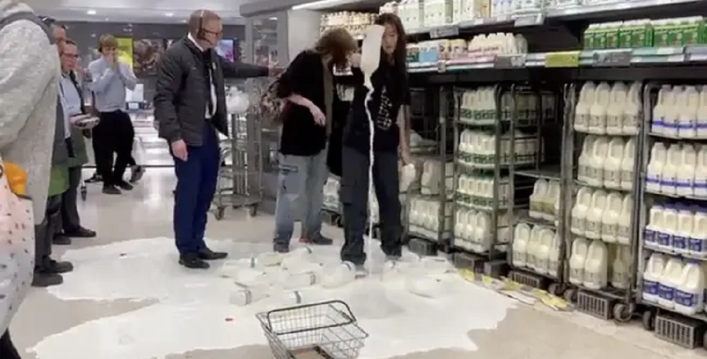 Veganske aktivister skaber kaos: Hælder litervis af mælk ud i supermarkeder
