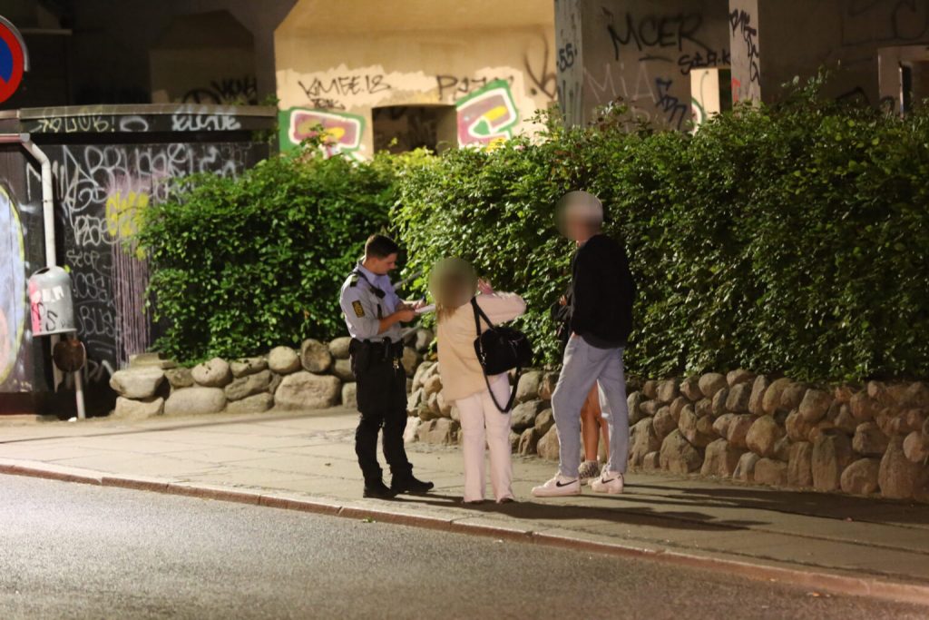 Politiet på jagt: Vejle gennemsøgt