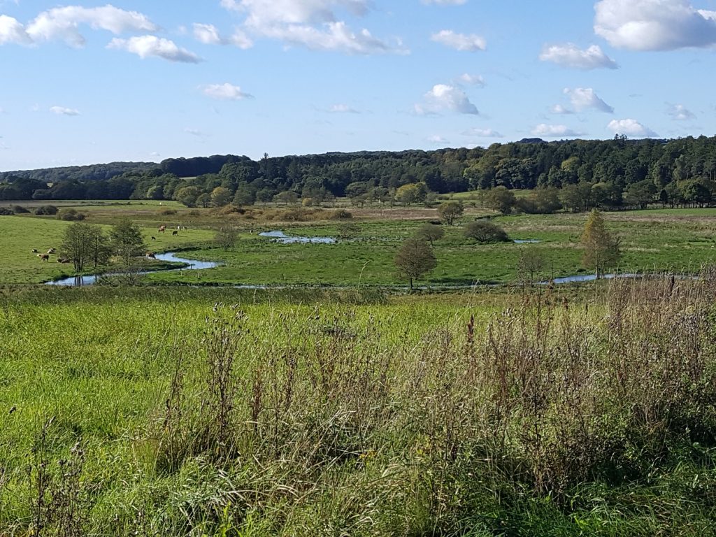 Skal Vejles natur være en del af Danmarks nye naturkanon?