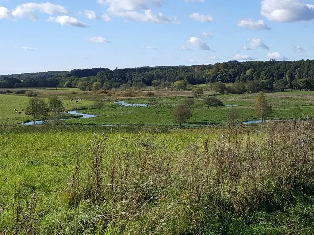 Skal Vejles natur være en del af Danmarks nye naturkanon?