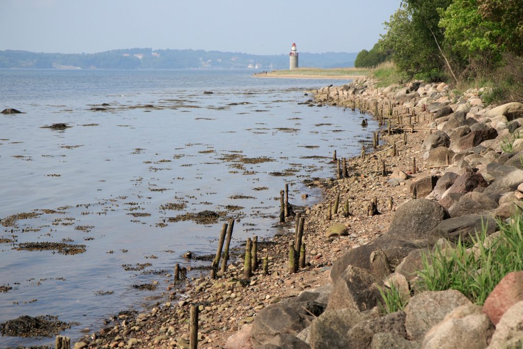 Vejle Fjord i ubalance: Nyt projekt skal få fiskene tilbage